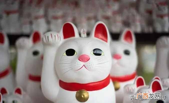 可以赚钱的网站？五个赚钱网站
