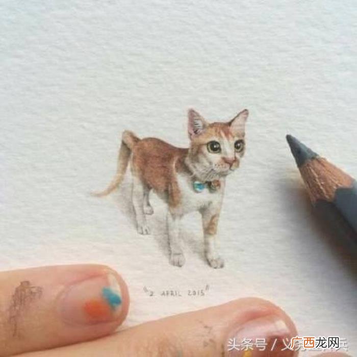 适合发朋友圈的幽默段子 朋友圈里的逗比段子
