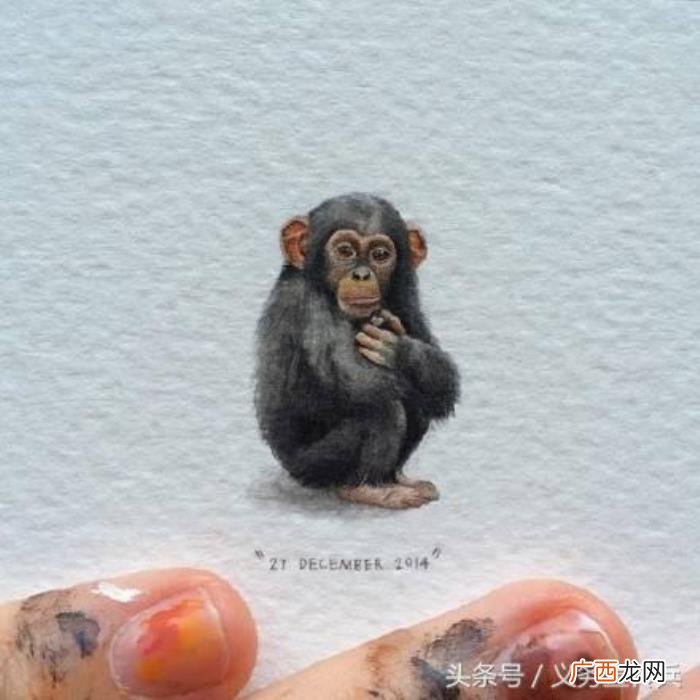 适合发朋友圈的幽默段子 朋友圈里的逗比段子