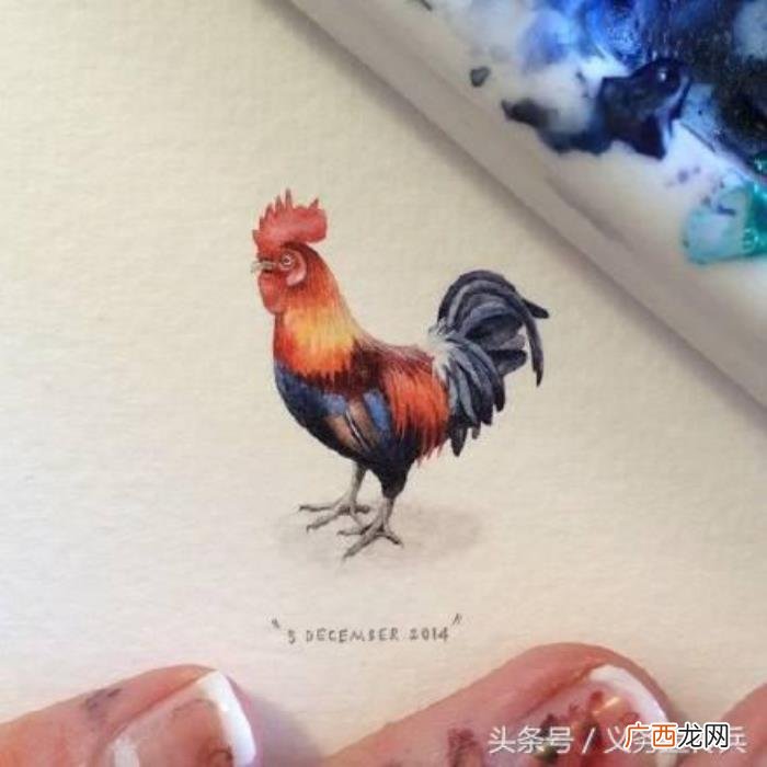 适合发朋友圈的幽默段子 朋友圈里的逗比段子