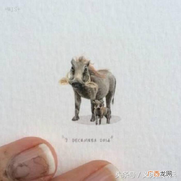 适合发朋友圈的幽默段子 朋友圈里的逗比段子