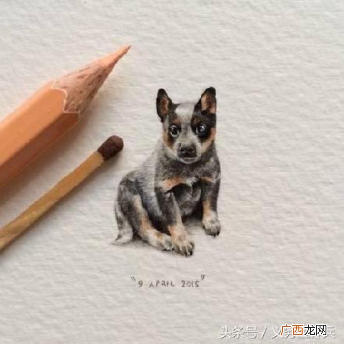 适合发朋友圈的幽默段子 朋友圈里的逗比段子