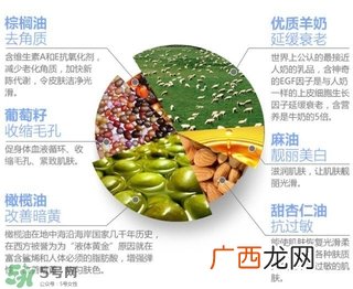 澳洲羊奶皂功效与作用 澳洲羊奶皂成分