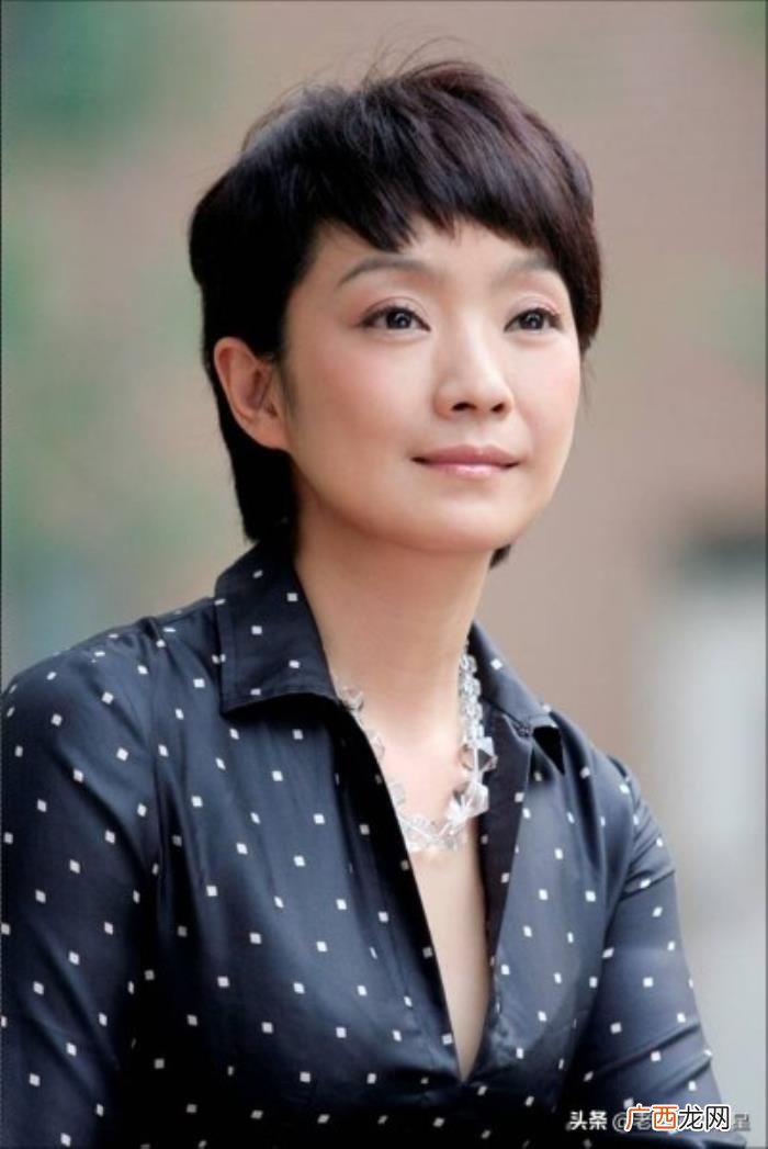 张嘉译妻子，张嘉译与妻子王海燕有过纠结和战争
