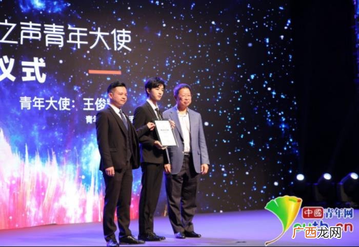 王俊凯称号，王俊凯被授予青年大使称号