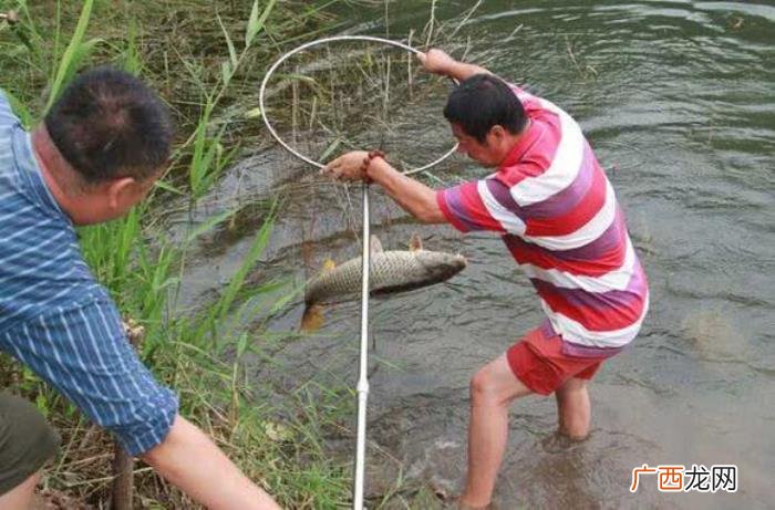 钓鱼这么多年你感悟到了什么 钓鱼感悟人生