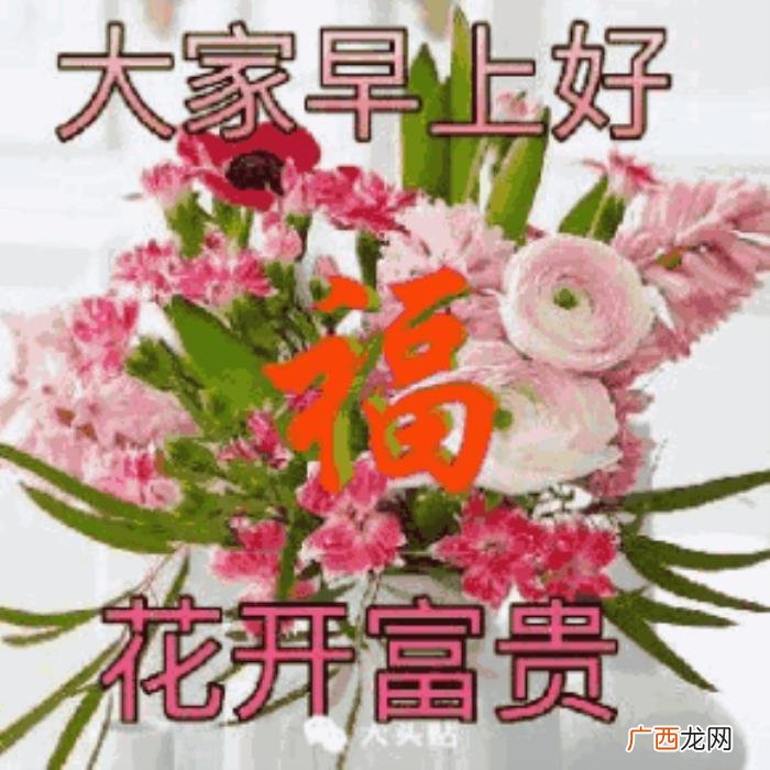 最漂亮早上好心情好图片大全 心情超好图片