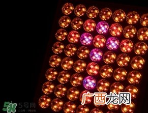 exideal小排灯原理 exideal小排灯副作用危害