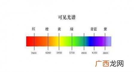 exideal小排灯原理 exideal小排灯副作用危害