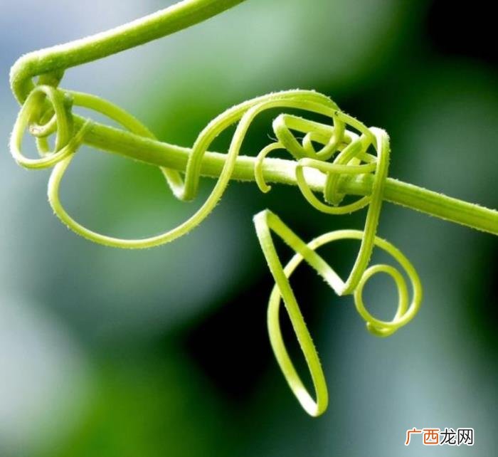 平时给自己下了这几条咒语的人 害人最灵的五个咒语