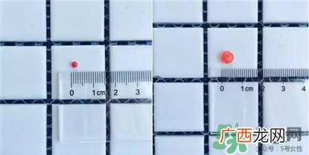 倩碧水磁场爆珠凝露试用装怎么领取_体验装怎么领