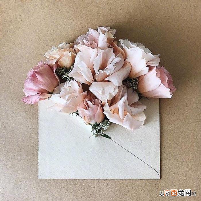 超级短的暖人心的句子 温暖人心的句子简短
