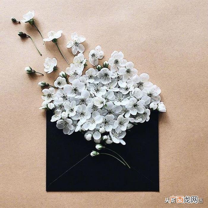 超级短的暖人心的句子 温暖人心的句子简短