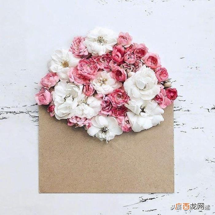 超级短的暖人心的句子 温暖人心的句子简短