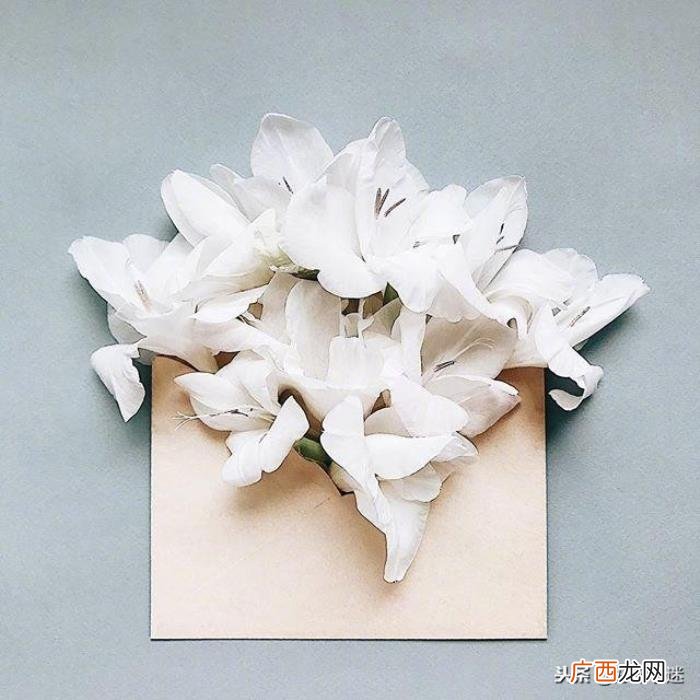 超级短的暖人心的句子 温暖人心的句子简短