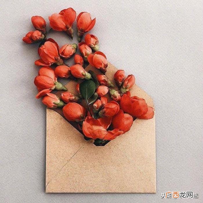 超级短的暖人心的句子 温暖人心的句子简短