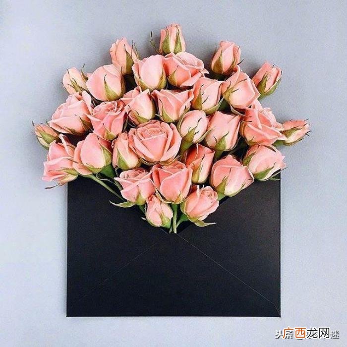 超级短的暖人心的句子 温暖人心的句子简短