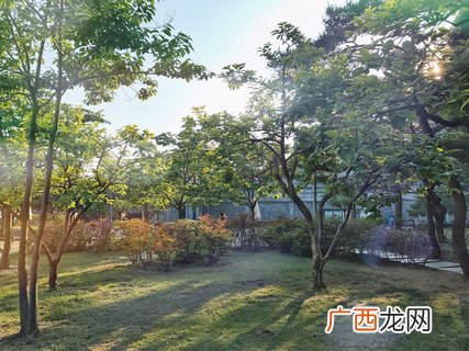韩国女人为什么很漂亮 韩国女人皮肤为什么好
