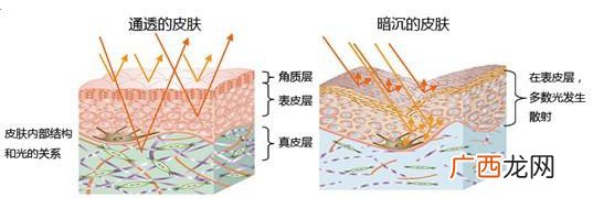 韩国女人为什么很漂亮 韩国女人皮肤为什么好