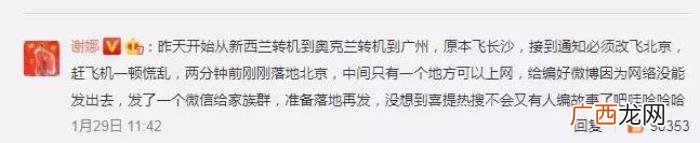鞠婧祎谢娜，谢娜鞠婧祎或将登春晚舞台引网友热议