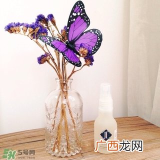 尊积帕保湿喷雾怎么样?尊积帕保湿喷雾好用吗?