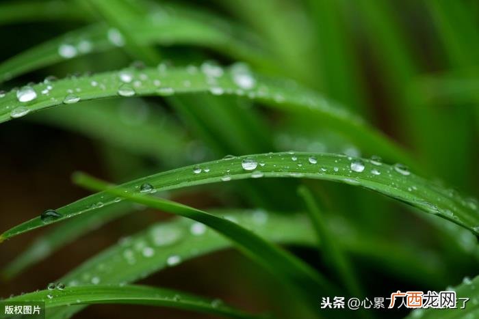 人生也是一个得与失 得与失的感悟短句