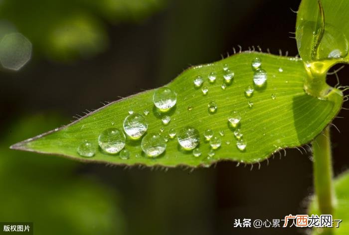 人生也是一个得与失 得与失的感悟短句