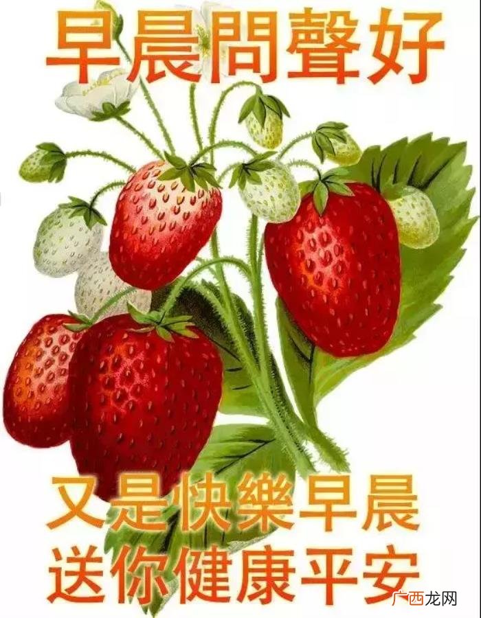 一缕阳光带来一片光明 一缕阳光短句