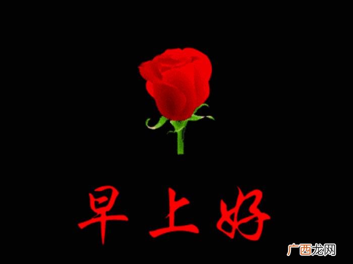 一缕阳光带来一片光明 一缕阳光短句