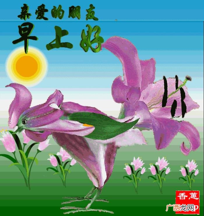 一缕阳光带来一片光明 一缕阳光短句