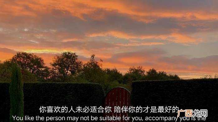 不要去打扰那些回你话 别去打扰一个敷衍你的人