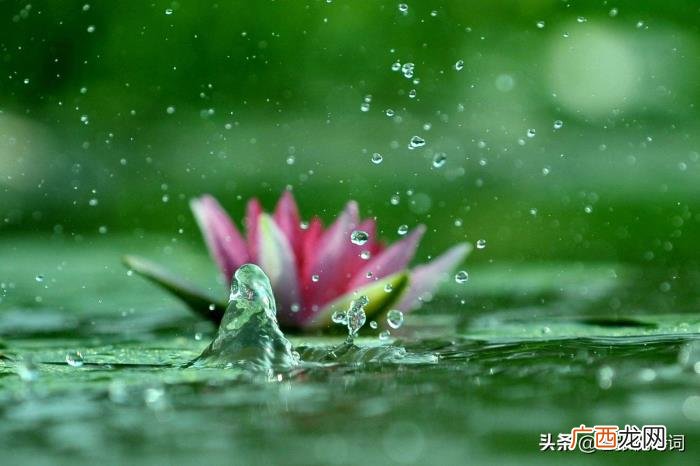 一首唐诗以一语双关闻名 一语双关的经典句子