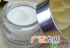 欧缇丽白藜芦醇晚霜怎么样_好用吗
