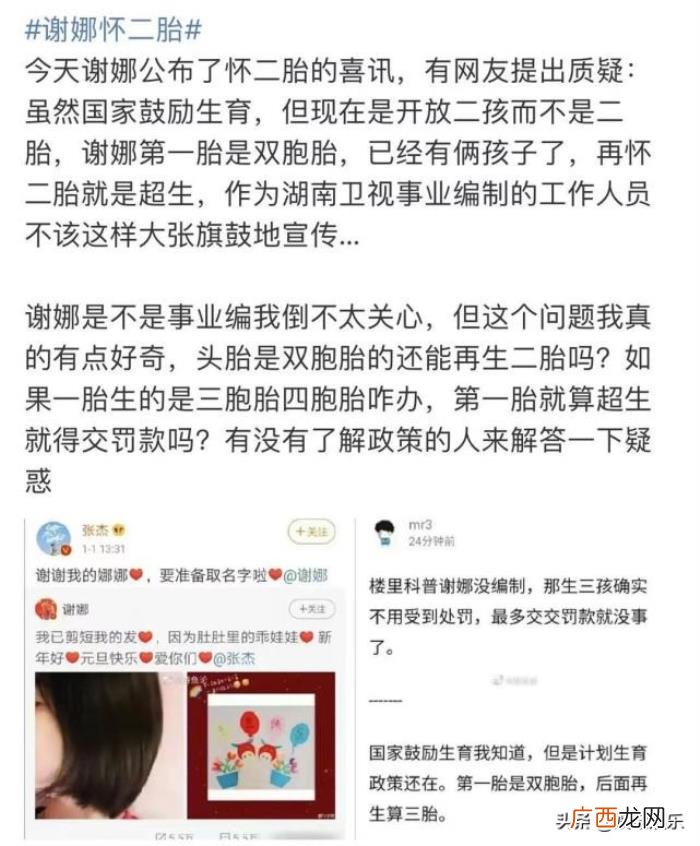 谢娜怀二胎男孩，被曝二胎怀的是男孩