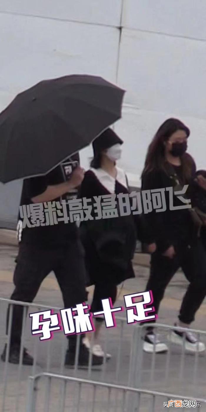 谢娜怀二胎男孩，被曝二胎怀的是男孩