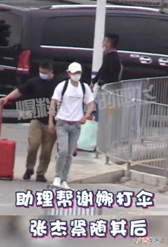 谢娜怀二胎男孩，被曝二胎怀的是男孩