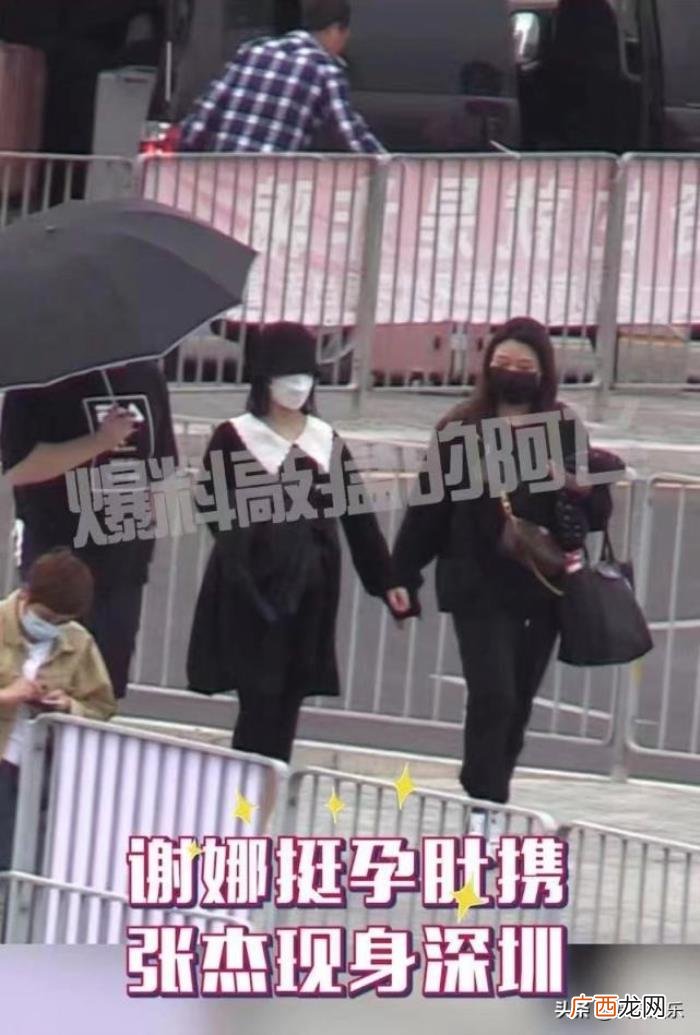 谢娜怀二胎男孩，被曝二胎怀的是男孩