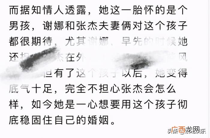 谢娜怀二胎男孩，被曝二胎怀的是男孩
