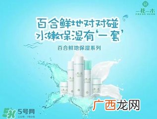 一花一木是什么牌子?一花一木是国产吗?