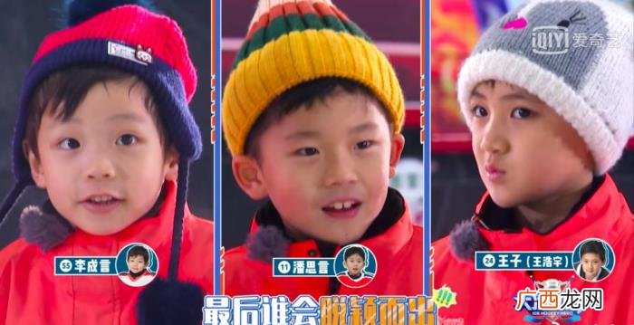 综艺雷佳音,本想来这部综艺看易烊千玺雷佳音带娃