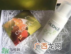 欧缇丽葡萄洁颜摩丝怎么样_好用吗