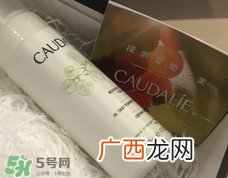 欧缇丽葡萄洁颜摩丝多少钱_专柜价格