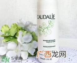 欧缇丽葡萄洁颜摩丝多少钱_专柜价格