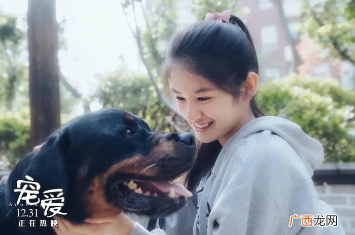 陈伟霆宠物，钟汉良、陈伟霆、吴磊为什么演宠物电影