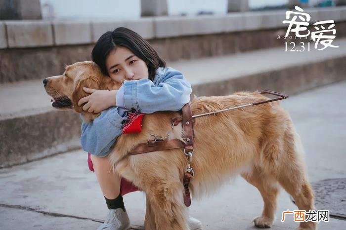陈伟霆宠物，钟汉良、陈伟霆、吴磊为什么演宠物电影