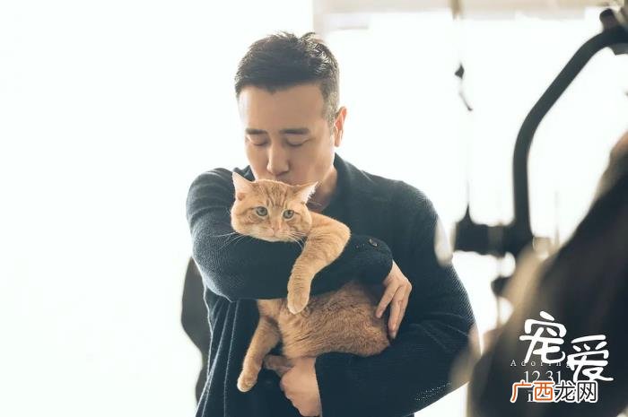 陈伟霆宠物，钟汉良、陈伟霆、吴磊为什么演宠物电影