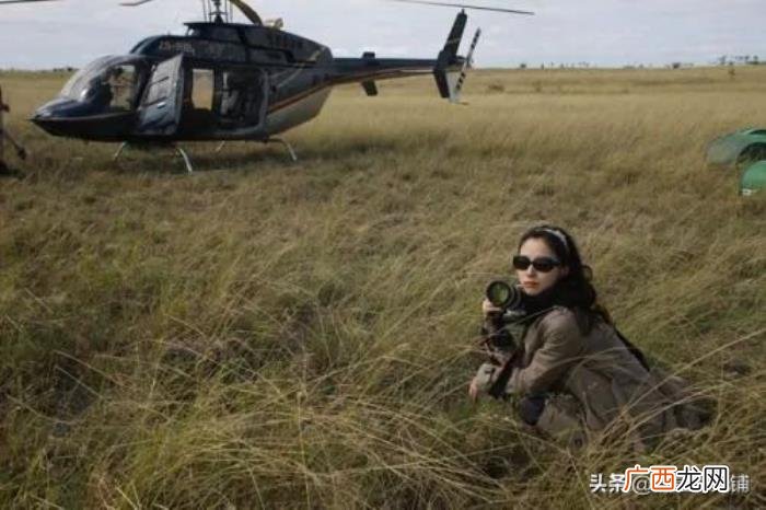 江一燕人设，文艺女神江一燕人设崩塌的争议和情感故事