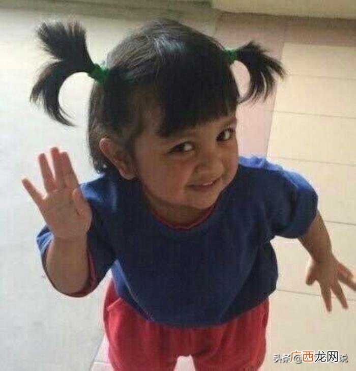 整理了一些可爱又沙雕的句子 又可爱又沙雕的句子