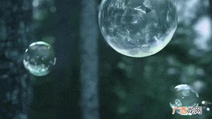 未来珍惜所有的不离不弃 过去的不留恋以后的要珍惜