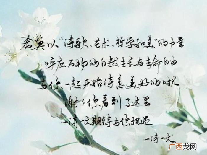 未来珍惜所有的不离不弃 过去的不留恋以后的要珍惜